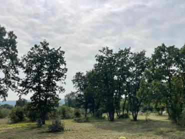 Građevinsko zemljište u mirnom okruženju prirode