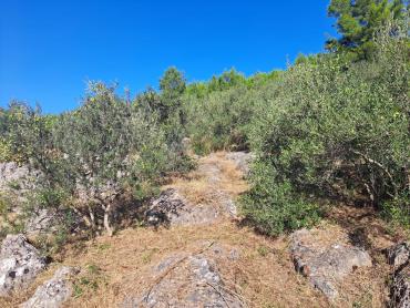 BLATO - kućica, poljoprivredno zemljište i šuma