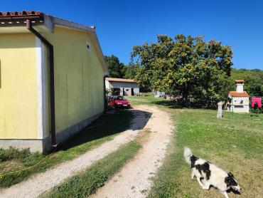 KUĆA SA VELIKIM IMANJEM I DVA POMOĆNA OBJEKTA