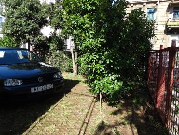 Poslovni prostor blizu Centra s parkingom !