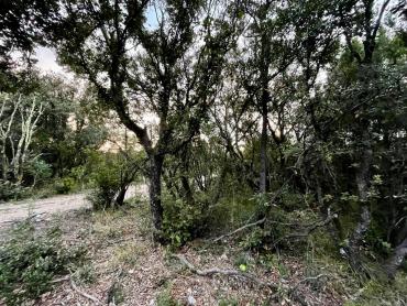 SNIŽENA CIJENA! Zemljište blizu mora i Peruški