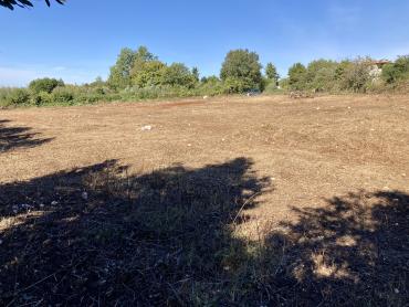 Terreno Brtonigla, 3.292m2