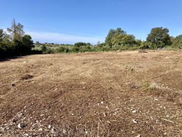 Terreno Brtonigla, 3.292m2