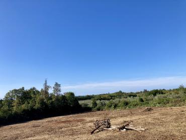 Terreno Brtonigla, 3.292m2
