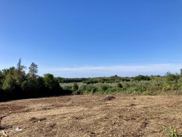 Terreno Brtonigla, 3.292m2