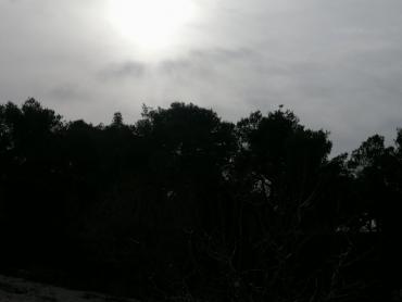 Terreno Brodarica, Šibenik - Okolica, 1.040m2