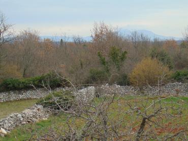 Hiša Juršići, Svetvinčenat, 140m2