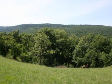 Zemljišče Vrhovine, 14.863m2