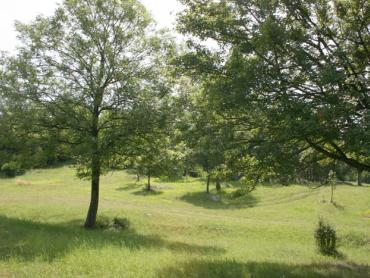Zemljišče Vrhovine, 14.863m2