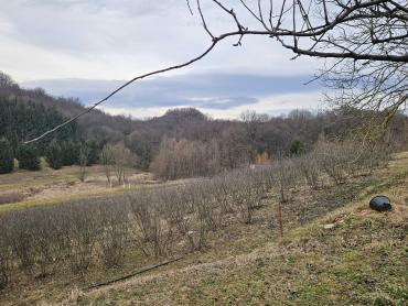 Zemljišče Seketin, Sveti Ilija, 11.251m2