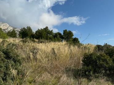 Hiša Ivan Dolac, Jelsa, 113m2