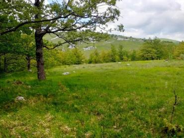 Zemljišče Bruvno, Gračac, 18.101m2