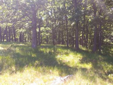 Zemljišče Bruvno, Gračac, 18.101m2