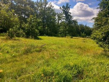 Zemljišče Bruvno, Gračac, 18.101m2