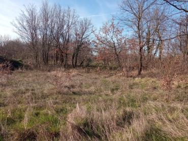 Terreno Krculi, Žminj, 3.069m2