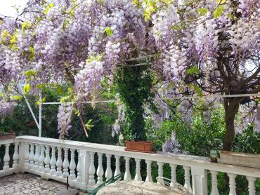 Kuća blizu mora sa deset apartmana