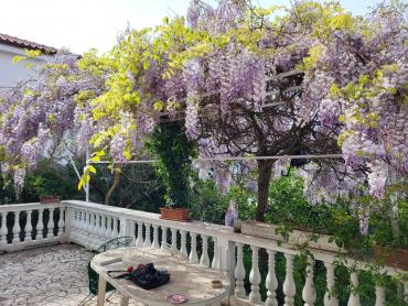 Kuća blizu mora sa deset apartmana