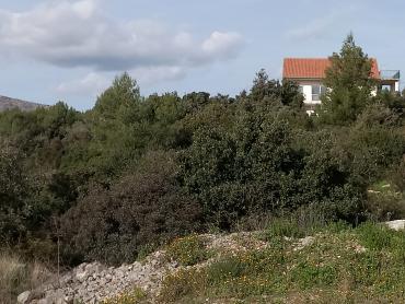 Poljoprivredno zemljište