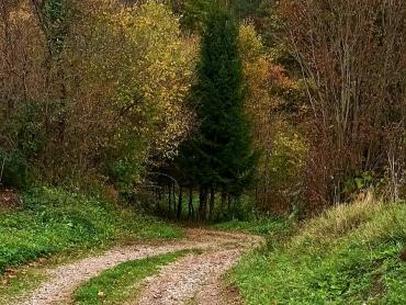 Zemljište uz rijeku Vitunjčicu, Ogulin
