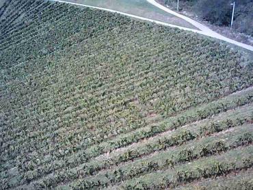 Vinograd na 30.526m² zemljišta u srcu Hrvatskog Zagorja!
