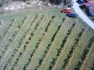 Vinograd na 30.526m² zemljišta u srcu Hrvatskog Zagorja!