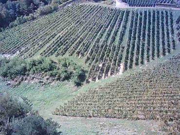 Vinograd na 30.526m² zemljišta u srcu Hrvatskog Zagorja!