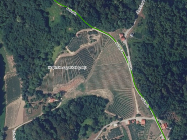 Vinograd na 30.526m² zemljišta u srcu Hrvatskog Zagorja!