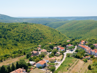 Oranica i vinograd u okolici Labina