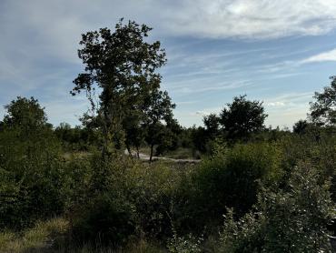Zemljišče Bale, 401m2