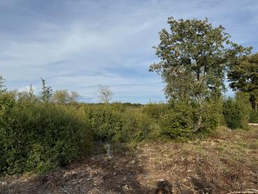 Zemljišče Bale, 401m2