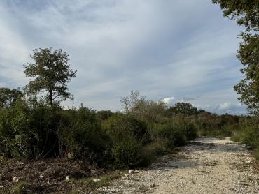 Zemljišče Bale, 401m2