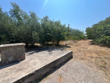 Casa Vrsi, 219m2