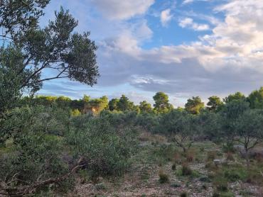 Terreno Milna, 13.472m2