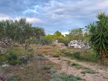 Terreno Milna, 13.472m2