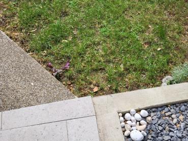 Prekrasan apartman blizu mors