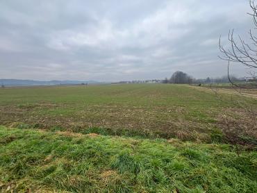 16.800m2 ili 931m2