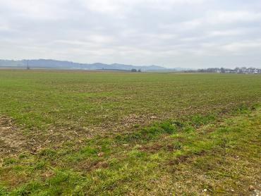 16.800m2 ili 931m2