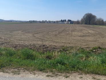 16.800m2 ili 931m2