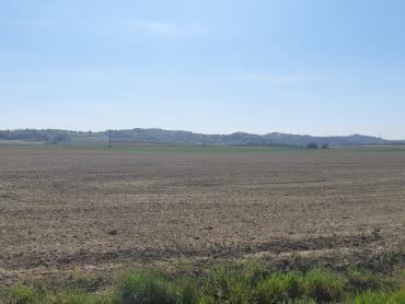 16.800m2 ili 931m2