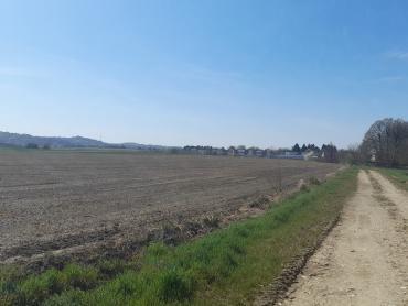 16.800m2 ili 931m2
