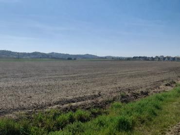 16.800m2 ili 931m2