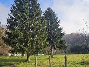 Neopisivno savršeno zemljište sa Kurijom