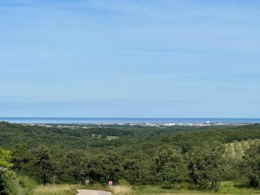 Buje, atraktivno građevinsko zemljište s gotovim projektom