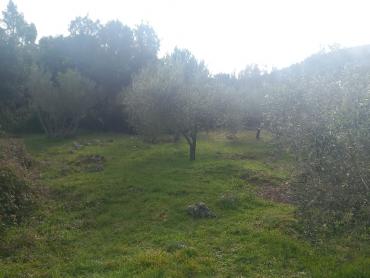 OTOK PAŠMAN GRAĐEVINSKO ZEMLJIŠTE S POGLEDOM NA MORE 1123 m²