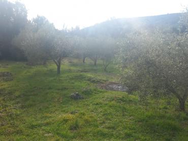 OTOK PAŠMAN GRAĐEVINSKO ZEMLJIŠTE S POGLEDOM NA MORE 1123 m²