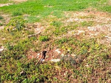 PRILIKA građevinsko zemljište 1050m² - Gorica
