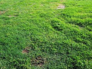PRILIKA građevinsko zemljište 1050m² - Gorica