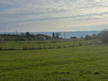Zemljište s projektom za izgradnju 1- 3 luksuzne vile s bazenom i  pogledom na Motovun