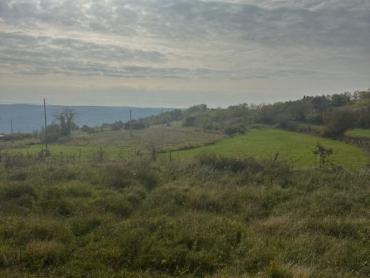 Zemljište s projektom za izgradnju 1- 3 luksuzne vile s bazenom i  pogledom na Motovun