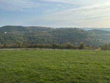 Zemljište s projektom za izgradnju 1- 3 luksuzne vile s bazenom i  pogledom na Motovun